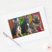 Bouledogue français 3 bully autocollant (Enveloppe)
