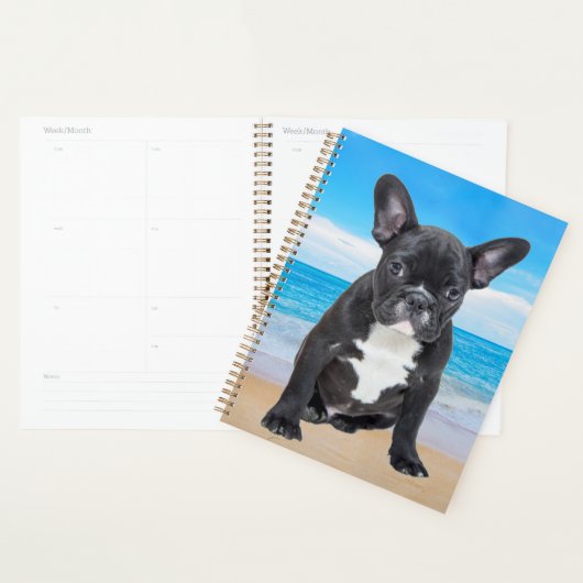 Bouledogue Français Assis Sur La Plage (Devant avec enveloppe)