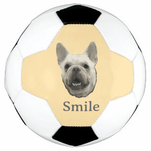 Bouledogue Français Beige Sourire