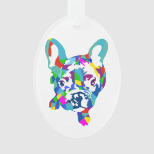 Bouledogue français coloré