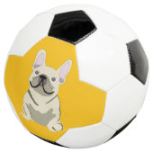 Bouledogue Français crème (3/4)