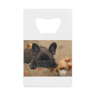 Bouledogue français de la plage Bouledogue françai