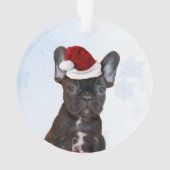Bouledogue français de Noël (dos)