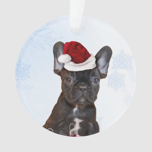 Bouledogue français de Noël (devant)