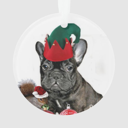 Bouledogue français de Noël (dos)