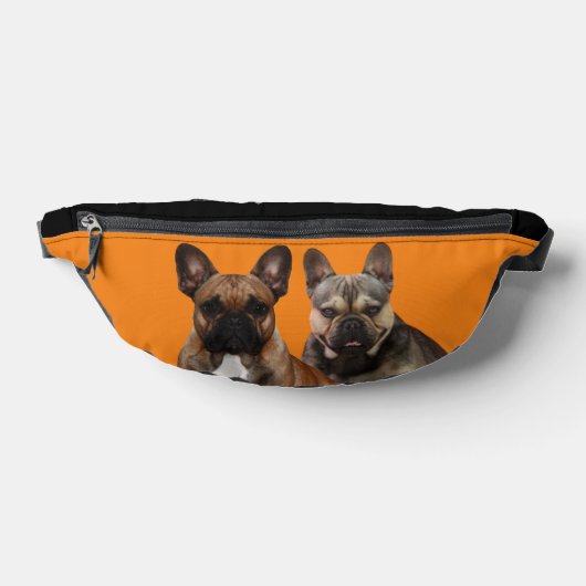 Bouledogue français deux amis (Poser)