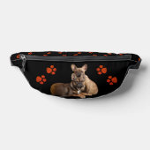 Bouledogue français deux amis French Bulldog (Poser)