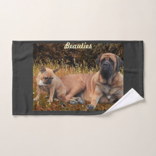 Bouledogue français et Mastiff amis