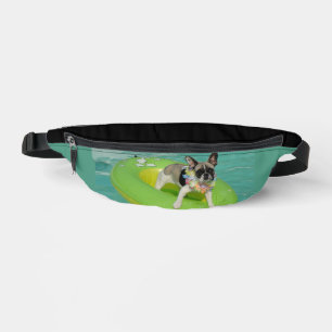 Bouledogue français été French Bulldog