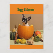 Bouledogue français Halloween carte postale de fêt (Devant)