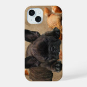 Bouledogue français mer Vacances French Bulldog (Verso)