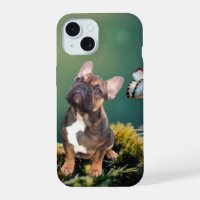 Bouledogue français papillon