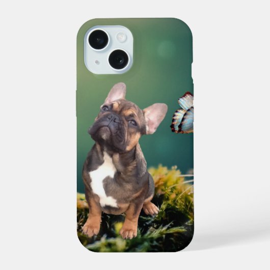 Bouledogue français papillon (Verso)