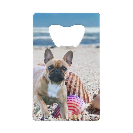 Bouledogue français sur la plage (Devant)