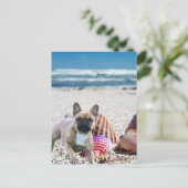 Bouledogue français sur la plage  Carte postale (Debout devant)