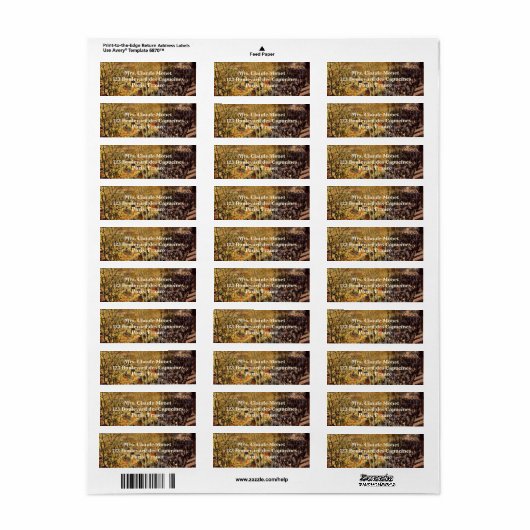 Boulevard des Capucines van Claude Monet, Fine Art Etiket (Full Sheet)