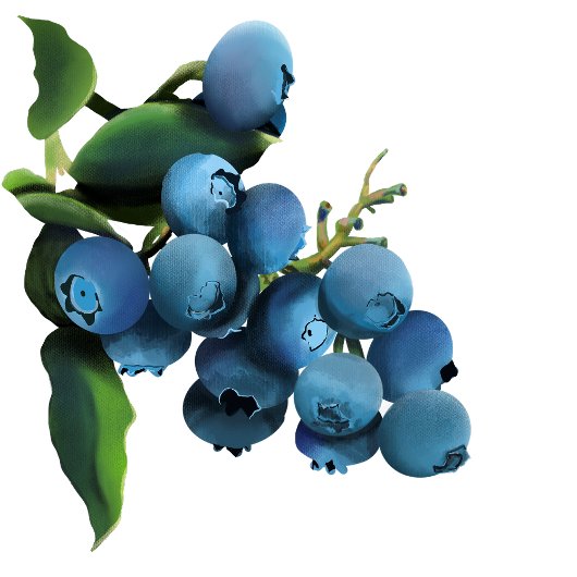 Bouncing Blueberry Merci notes