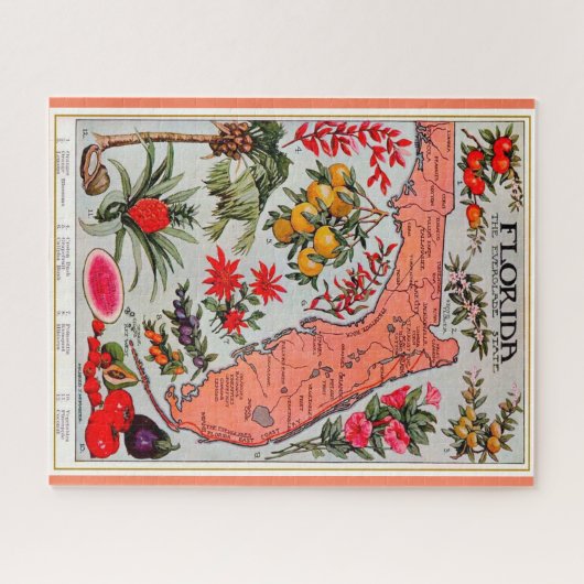 Bounty de Floride 16x20 Jigsaw Puzzle (Horizontal)