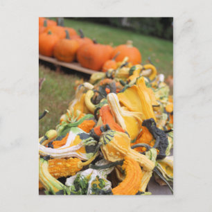 Bounty of Herfst Briefkaart