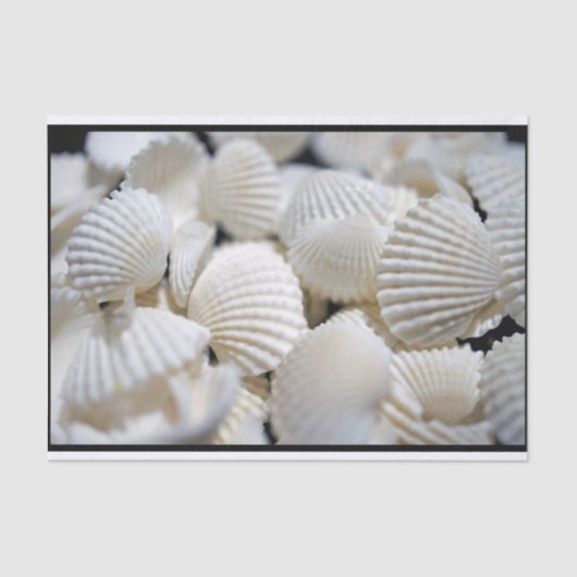 Bounty of Shells Tissuepapier (Voorkant)