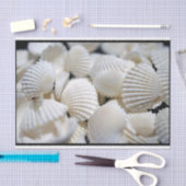 Bounty of Shells Tissuepapier (Craft)