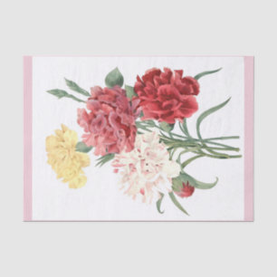 Bouquet 15" d'oeillets x 10" papier de soie de