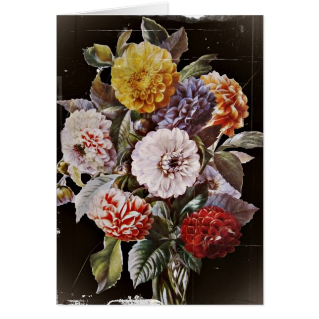 Bouquet d'antiquités Dahlias (Devant)