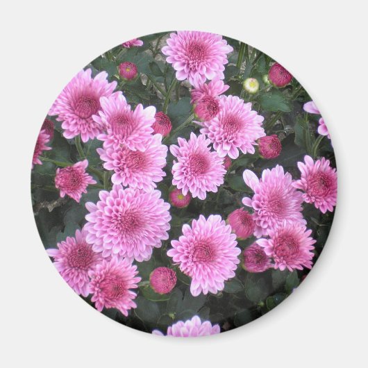 Bouquet de la nature : Magnet de printemps (Devant)