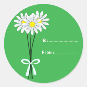 Bouquet de marguerite blanche sur Sticker vert ron