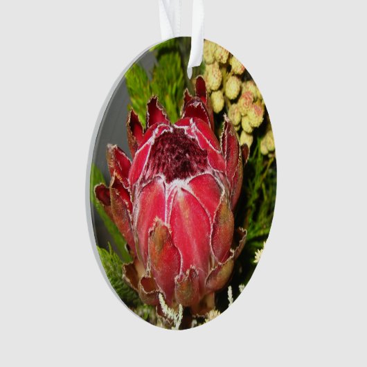 Bouquet de Protea (devant)