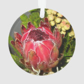 Bouquet de Protea (dos)