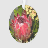 Bouquet de Protea (devant)