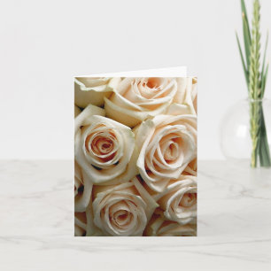 Bouquet de roses crème - Merci