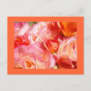 Bouquet de roses éclatantes Cartes postales Roses