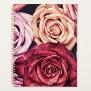 Bouquet de roses roses