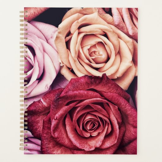 Bouquet de roses roses (Devant)