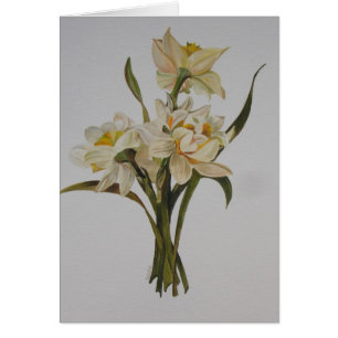 Bouquet Double Narcissi Art Floral