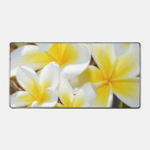 Bouquet Frangipani, Mat de bureau (Recto)