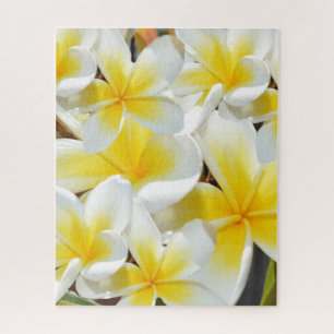 Bouquet Frangipani, Puzzle Jigsaw