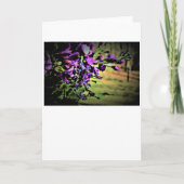 Bouquet, kaart (Voorkant)
