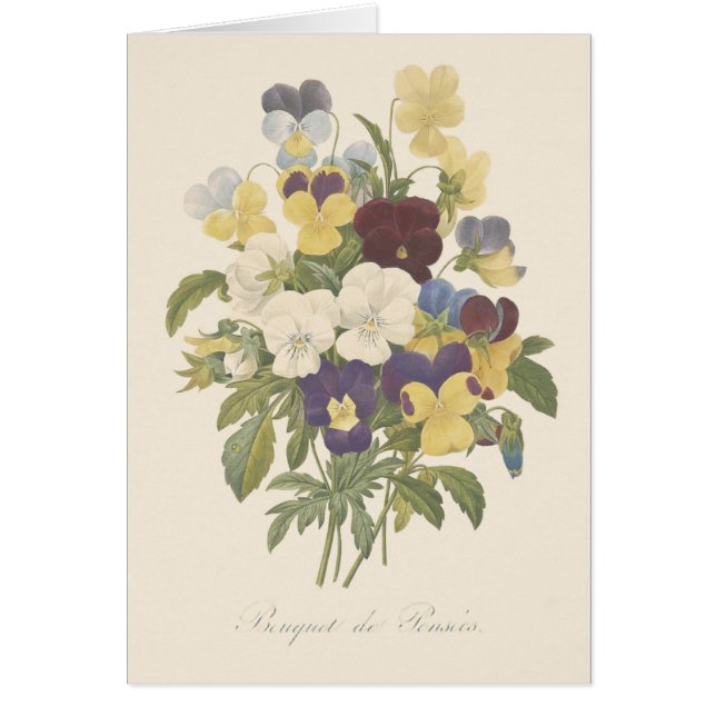 Bouquet Pensée Pensées Illustration de Fleur (Devant)