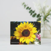 Bouquet Sunflower & Friends - Carte postale (Debout devant)