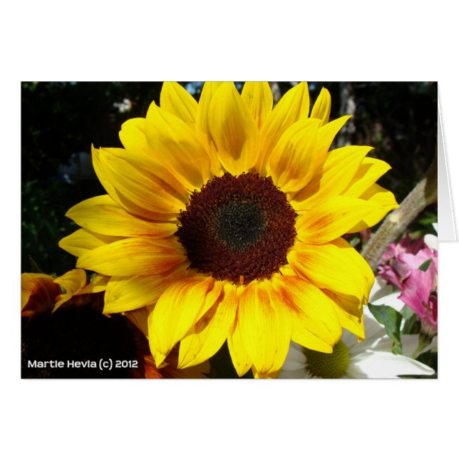 Bouquet Tournesol & Amis (Devant Horizontal)