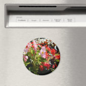 Bouquet van Begonias... Magneet (Insitu (Vaatwasser))