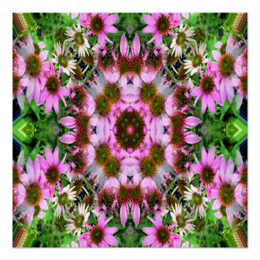 Bouquet van Echanicea... Perfect Poster (Voorkant)