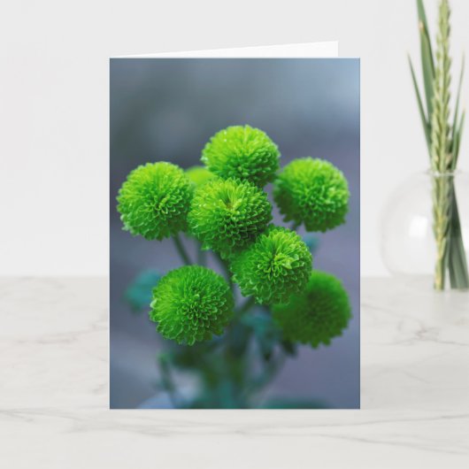 Bouquet van Green Santini Chrysanthemum Flowers Kaart (Voorkant)