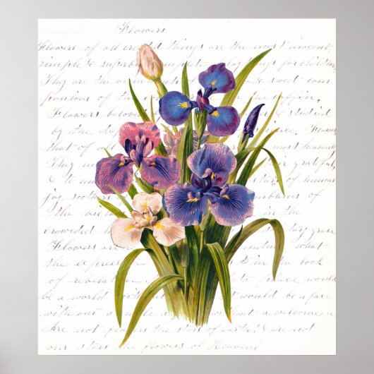  Bouquet van Lilacs - Tekst van Clara Balfour Poster (Voorkant)