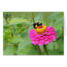 Bourdon sur Zinnia Rose Pensée Pour Toi