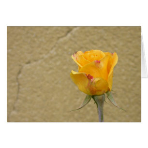 Bourgeon de rose jaune