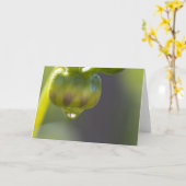 Bourgeon et carte de voeux de baisse (Fleur jaune)